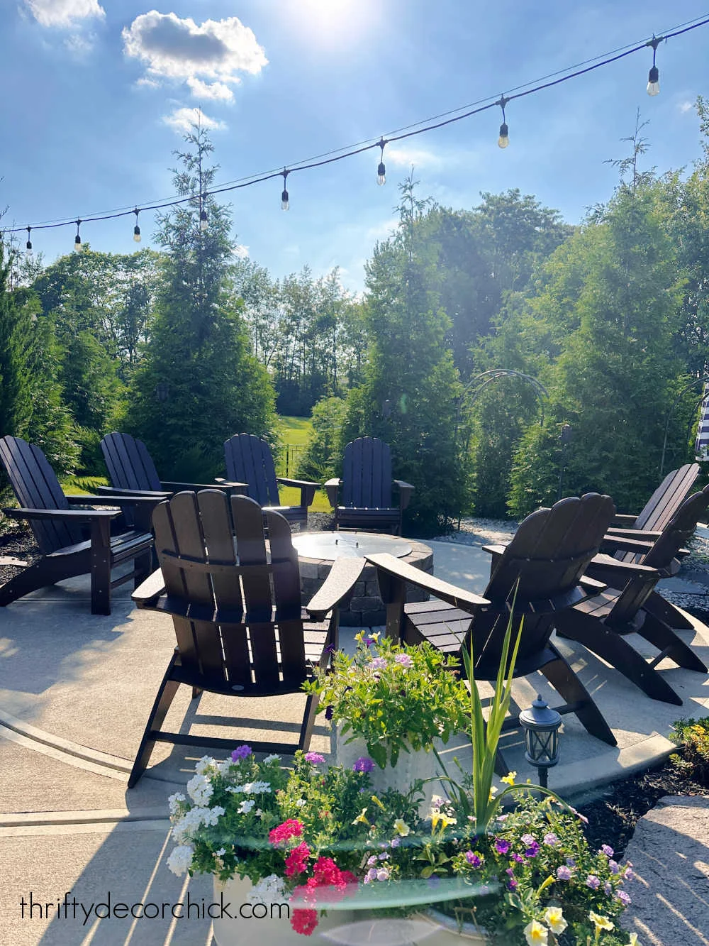 evergreen trees around round fire pit